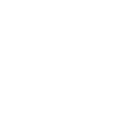Privacy icon